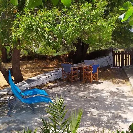 Almond Trees House