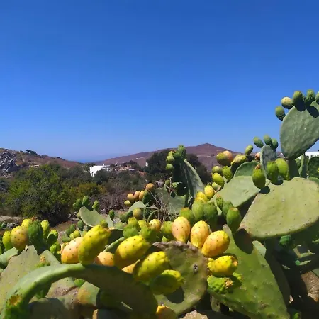 Almond Trees House * Ormos Aigialis
