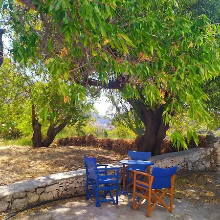 Almond Trees House Vakantiehuis Ormos Aigialis