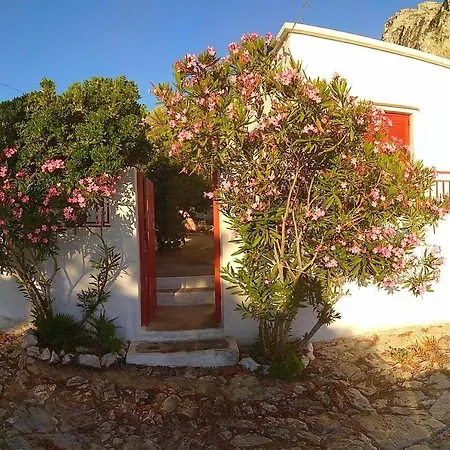 Vakantiehuis Almond Trees House
