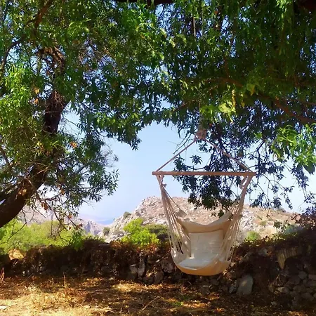 Almond Trees House