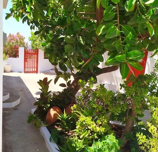 Almond Trees House بيت للعطل Ormos Aigialis