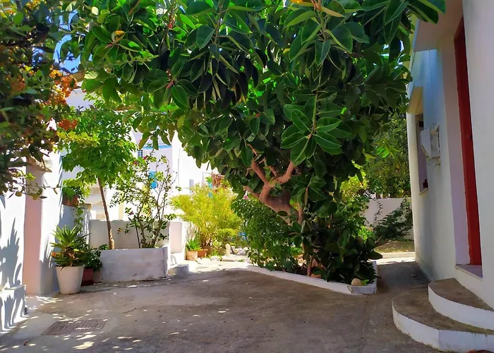 Almond Trees House *