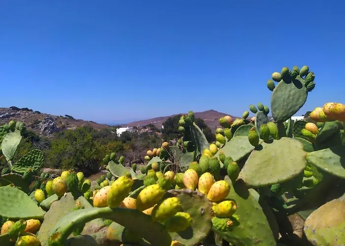 Almond Trees House * Ορμός Αιγιάλης