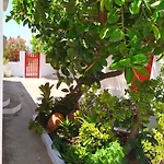 Almond Trees House Semesterbostad Ormos Aigialis