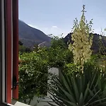 Almond Trees House