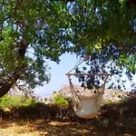 Almond Trees House