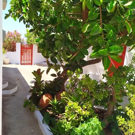 Almond Trees House Ferienhaus Ormos Aigialis