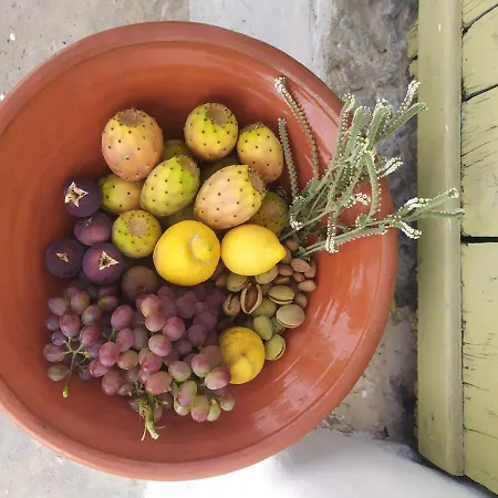 Almond Trees House Ferienhaus