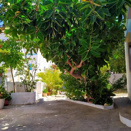 Almond Trees House *