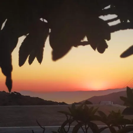 Almond Trees House Casa vacanze *