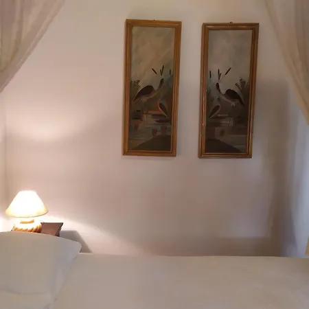 Almond Trees House *