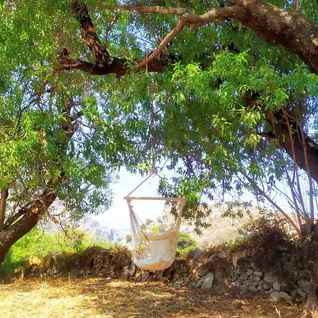 בית נופש Almond Trees House