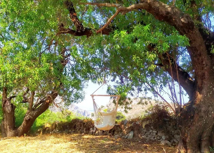 Hébergement de vacances Almond Trees House